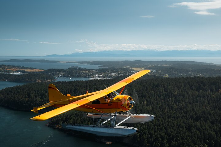 3 Hours San Juan Island Seaplane Tour from Seattle  - Photo 1 of 10